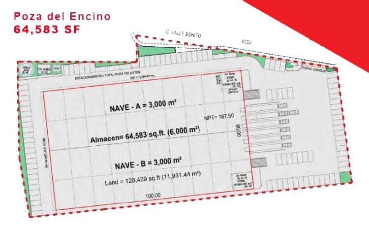 Poza del Encino - 02