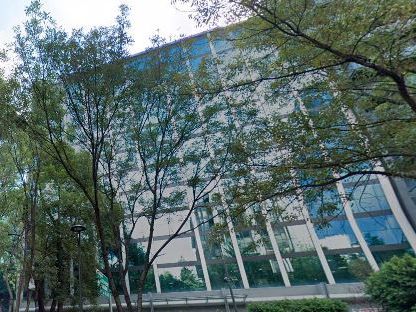 Insurgentes 664