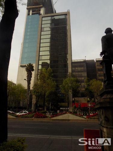 Torre Knoll