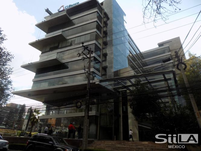 Corporativo Central Palmas / Palmas 215