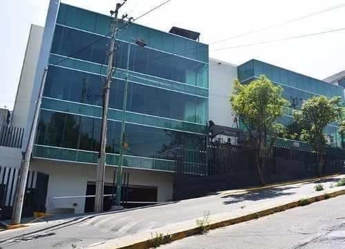 Alisos 13