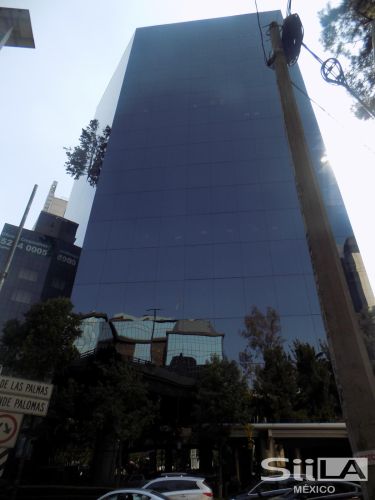 Torre del Árbol