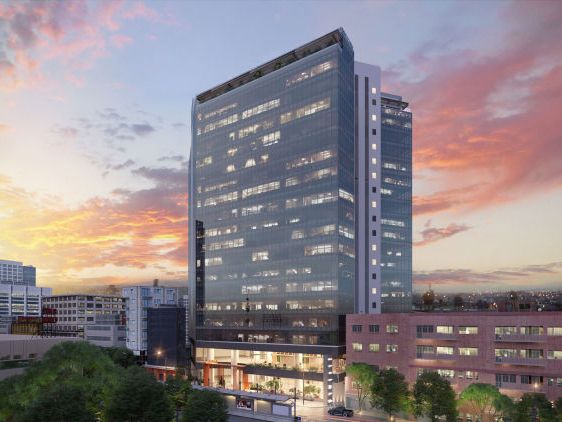 Yama Insurgentes Reforma