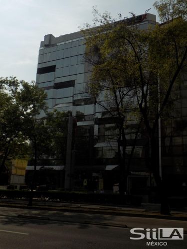 Insurgentes Sur 1811