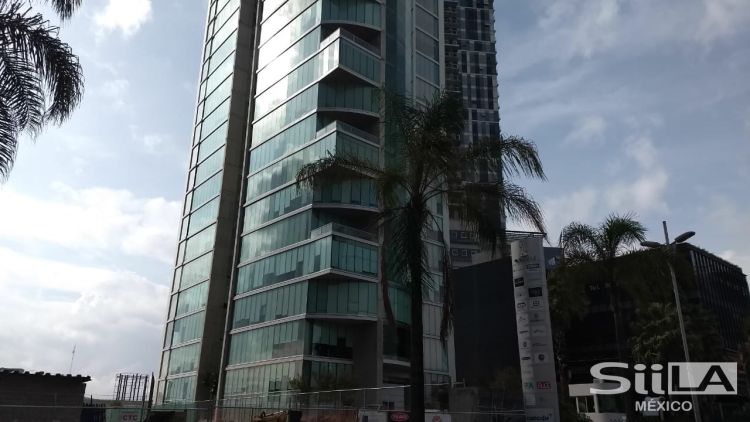 Torre Celtis