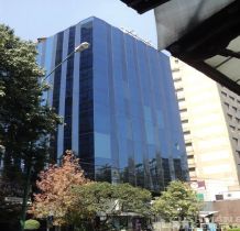 Insurgentes Sur 1871